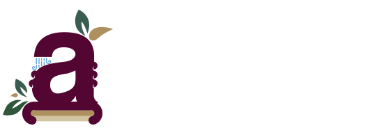 Transparencia Municipal logo